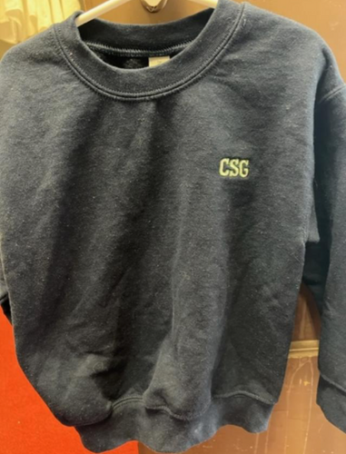 CSG Navy Lands' End Sweatshirt