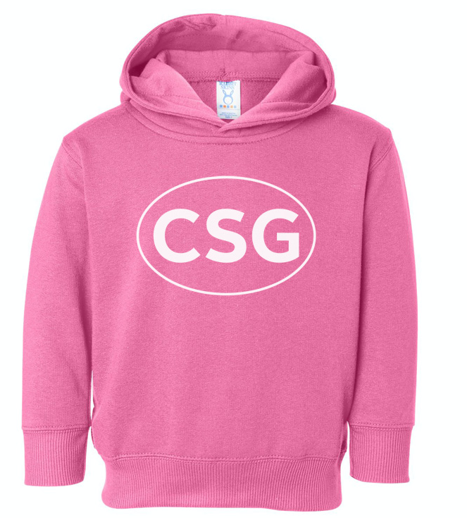 Pink Hoodie (PYC)