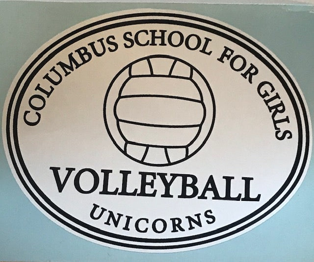 Volleyball Sticker