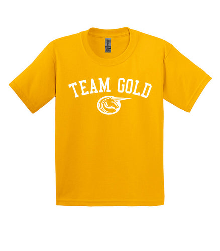 Team Gold T-shirt (Youth)