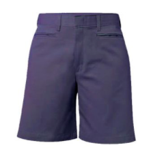 Shorts - Girls Navy Flat Front Shorts